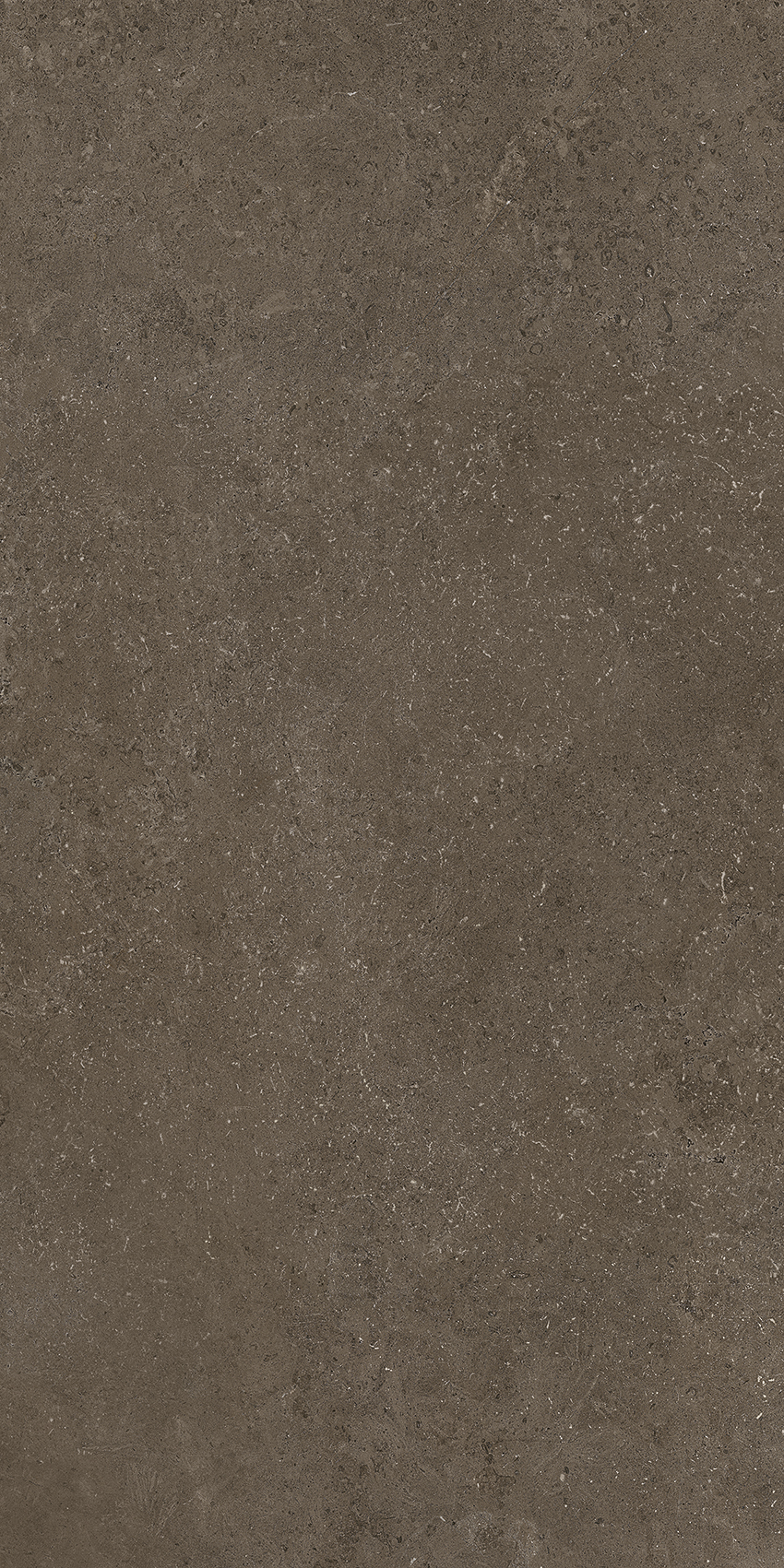 Bodenfliese Cerdomus CROATIA antracite 60x120