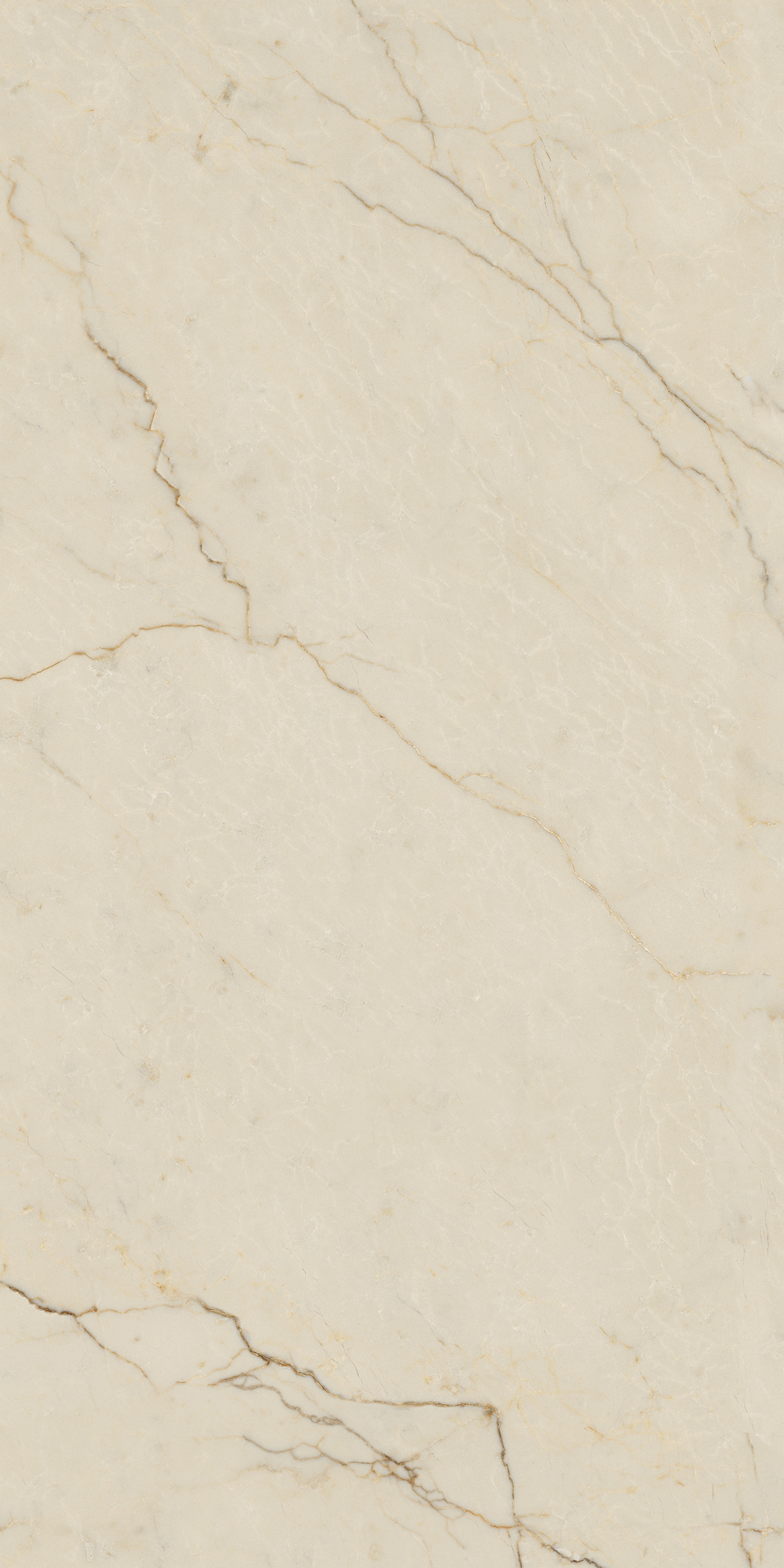 Bodenfliese La Fabbrica AVORIO SEGESTA 60 x 120