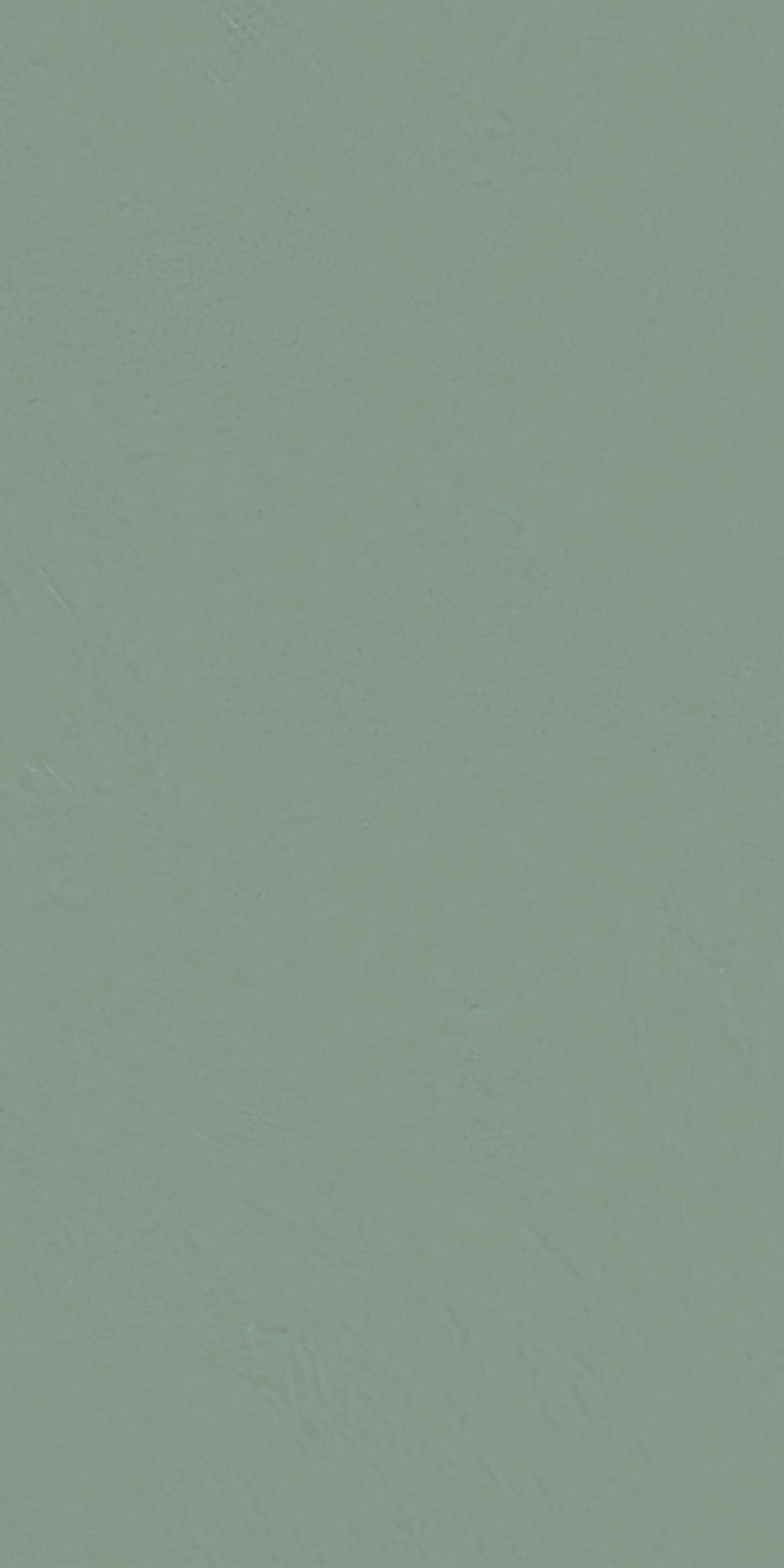 Bodenfliese La Fabbrica LE MALTE sage 60 x 120