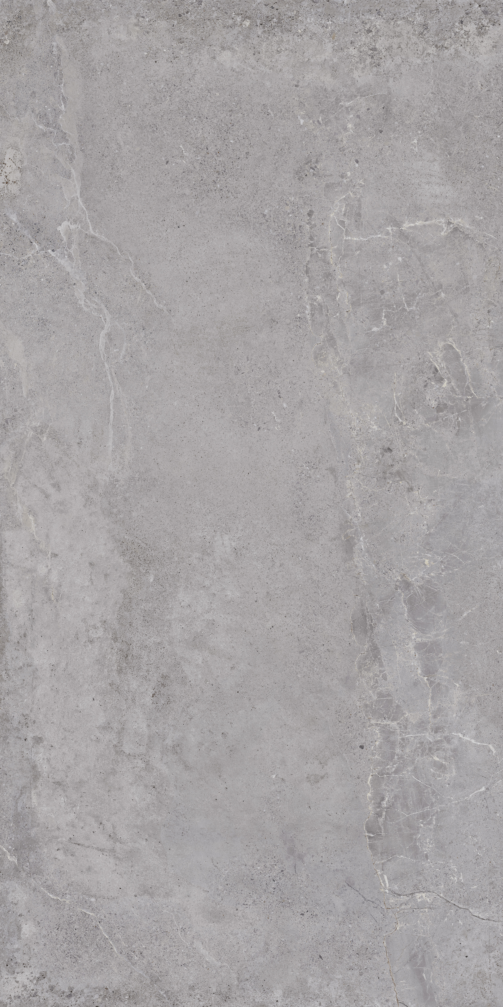 Bodenfliese Castelvetro EVOLUTION grey 60x120