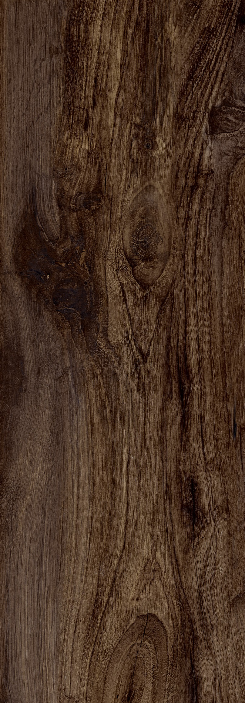 Bodenfliese Castelvetro WOODLAND Walnuts 20x80