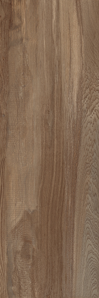 Outdoor-Fliese Castelvetro AEQUA castor 40x120