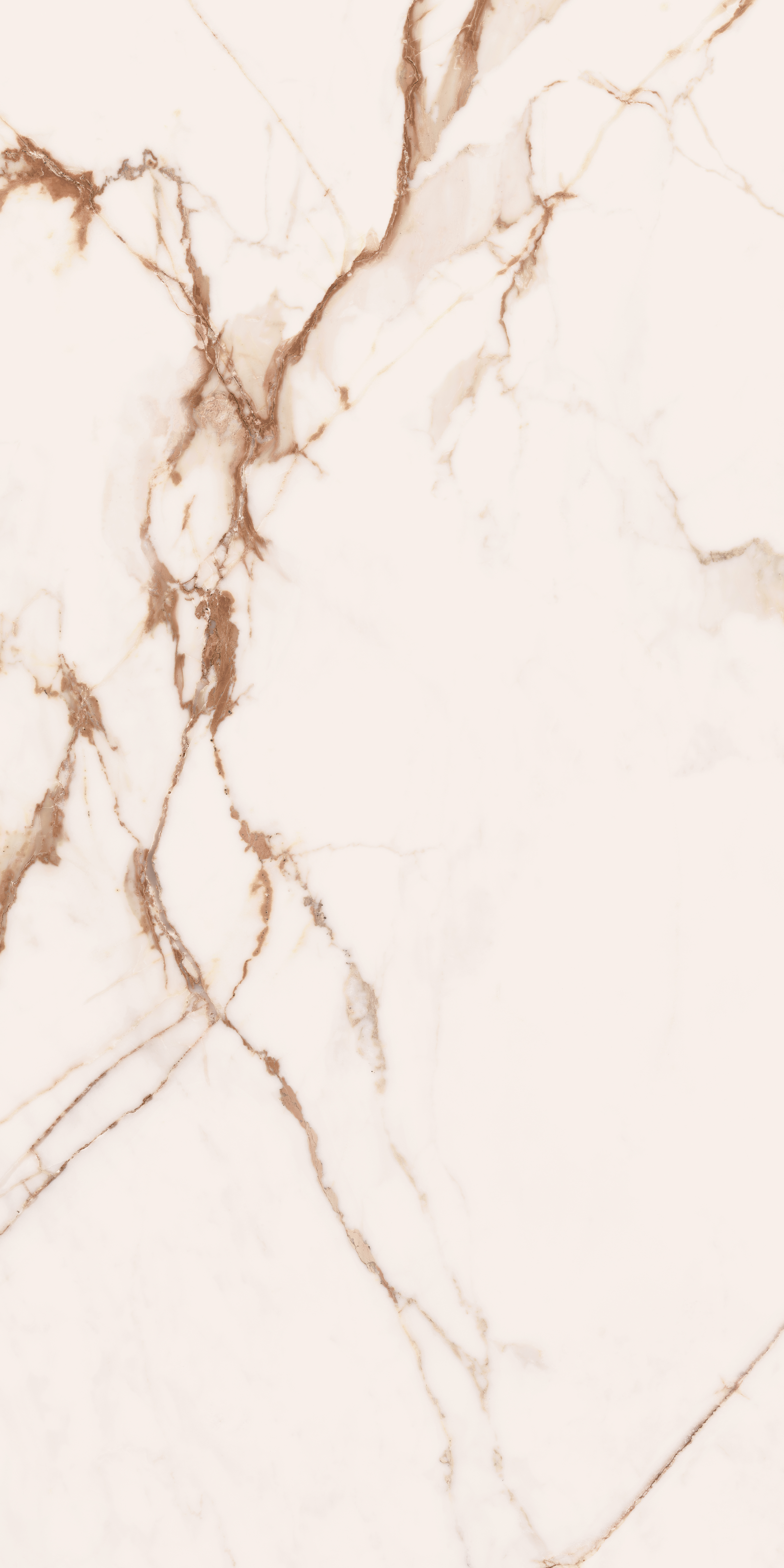 Bodenfliese Cerdomus OMNIA macchia 60x120