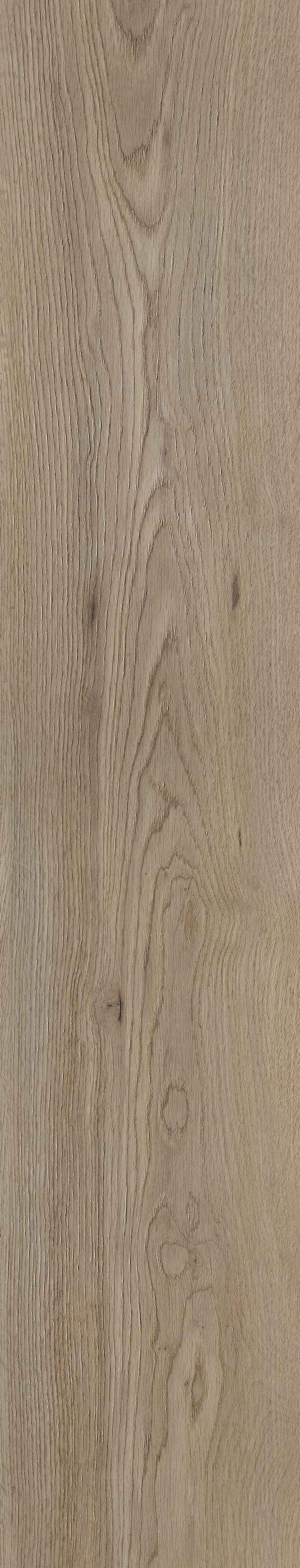 Bodenfliese BellaVita AYMARA titanium 23x120