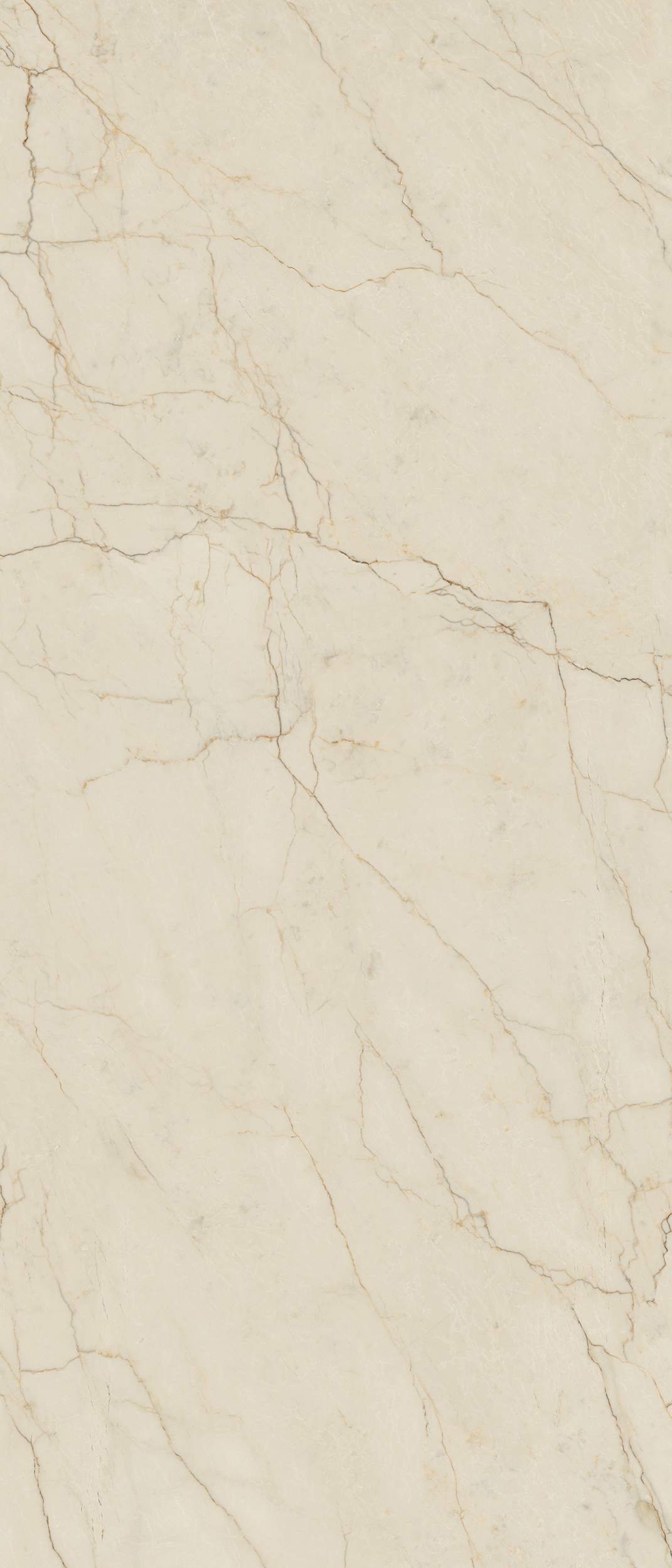 Wandfliese La Fabbrica AVORIO SEGESTA 120 x 280