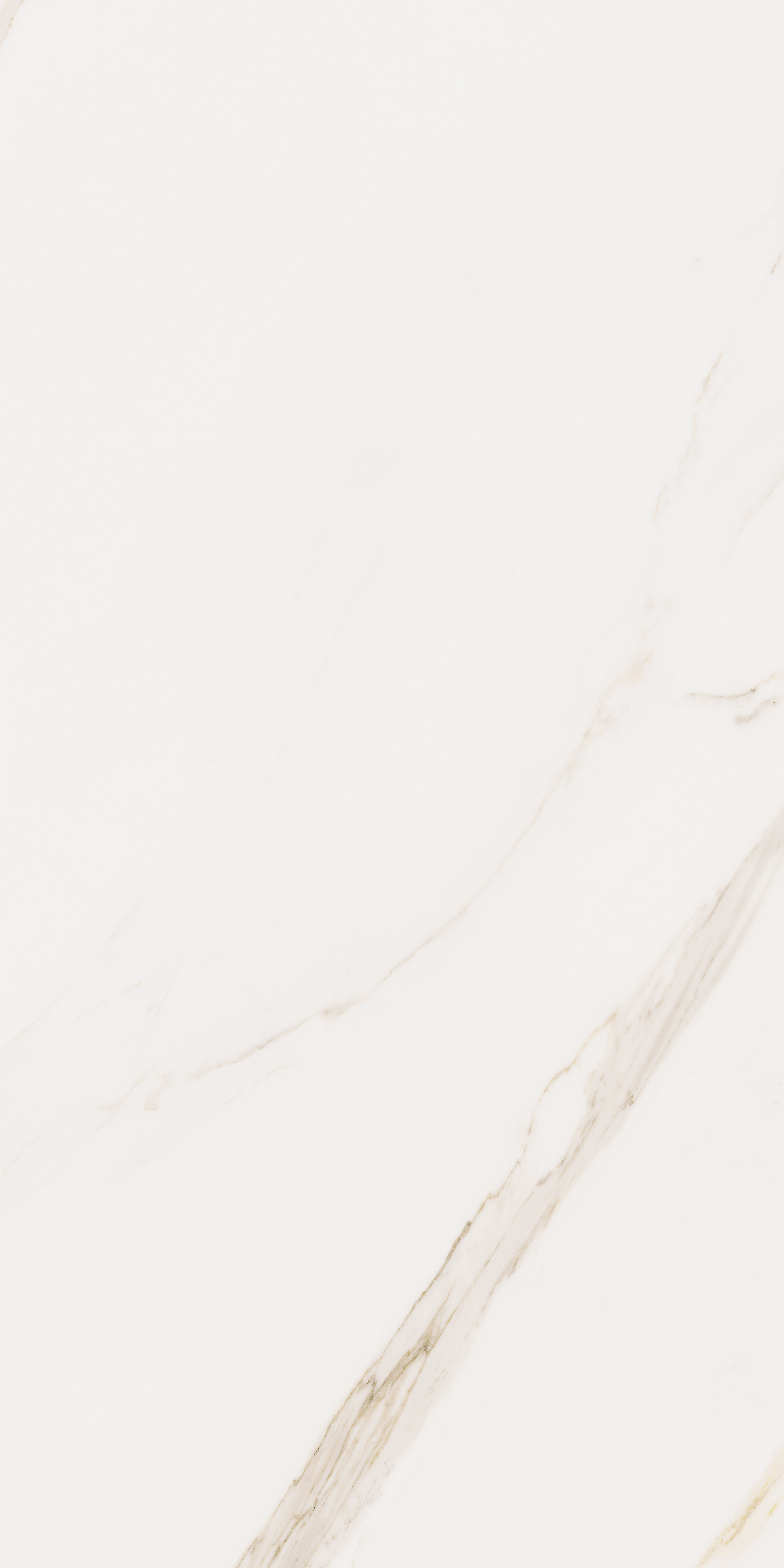 Bodenfliese Cerdomus OMNIA calacatta 60x120