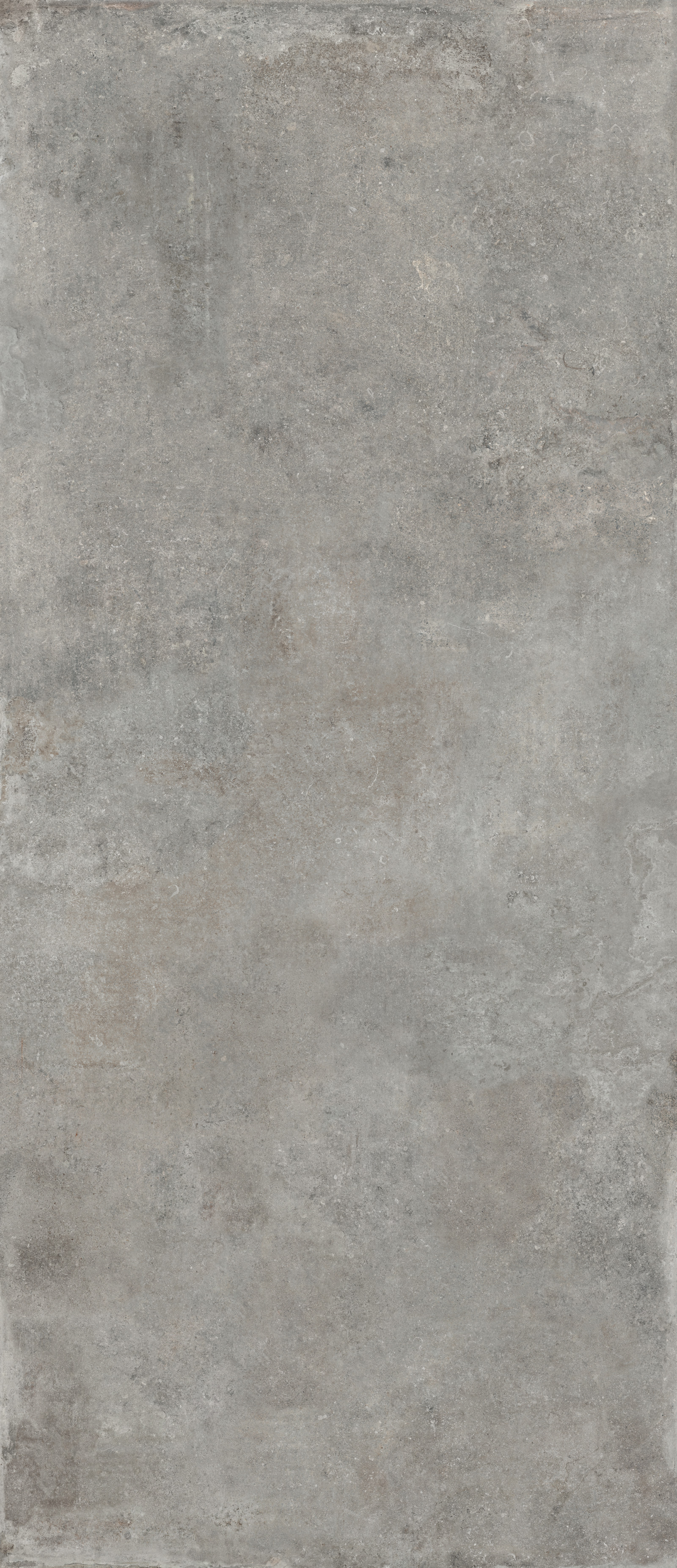 Wandfliese Flaviker RE_TOUR fog 120x280