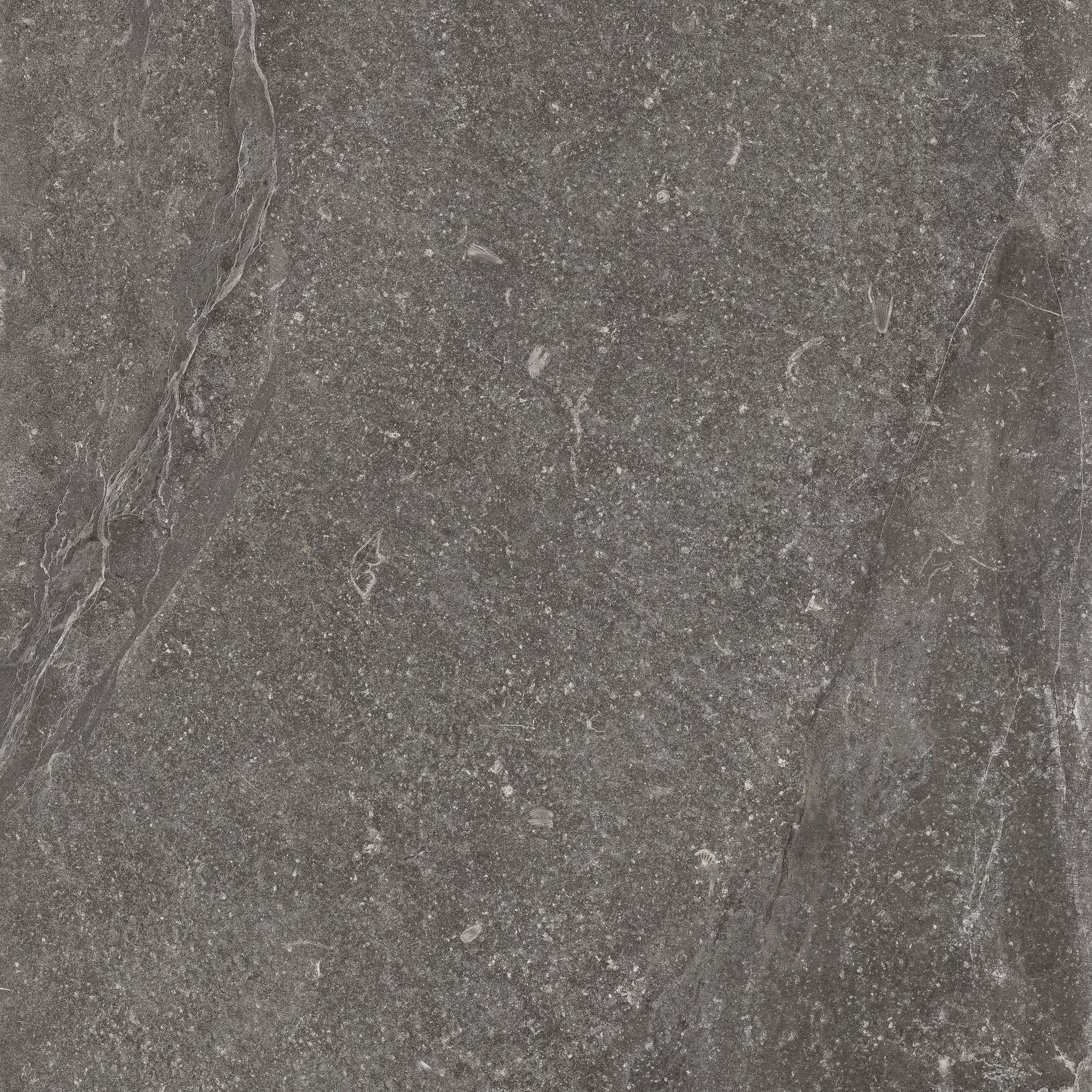 Bodenfliese Castelvetro PIETRA ANTICA iron 60x60