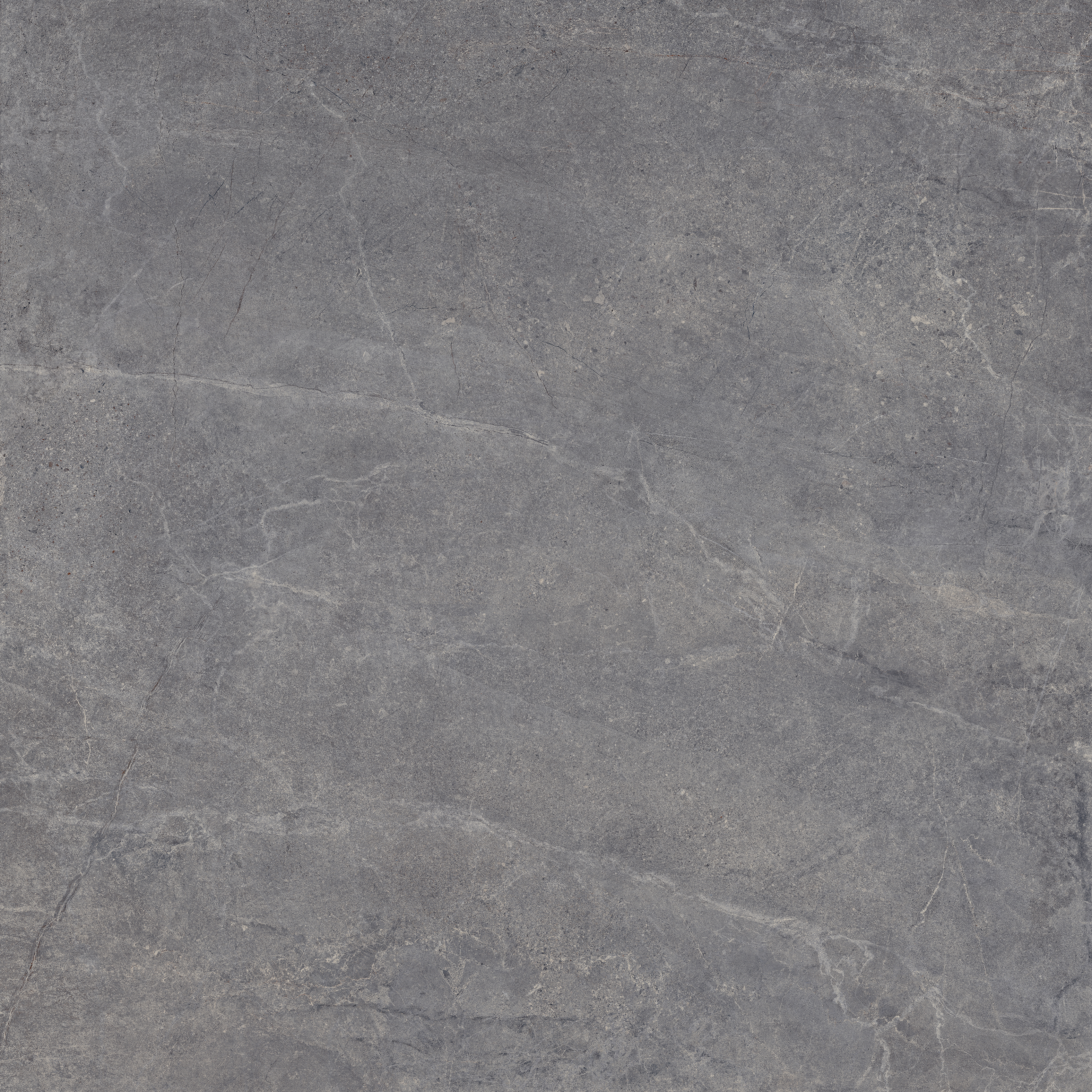 Bodenfliese Castelvetro EVOLUTION titanium 100x100