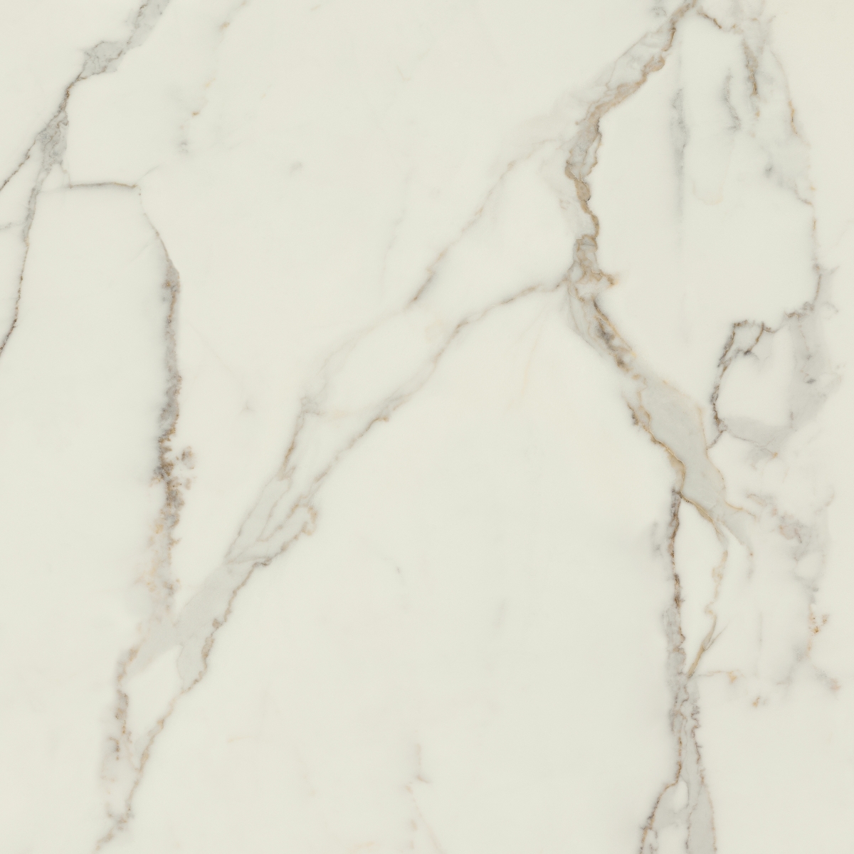 Bodenfliese La Fabbrica CALACATTA ORO 120x120