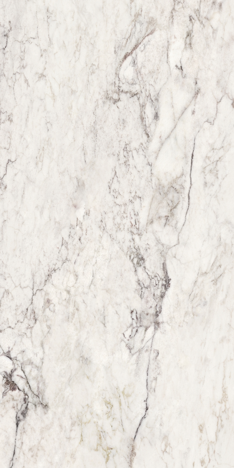 Bodenfliese La Fabbrica BRECCIA CAPRAIA 60 x 120