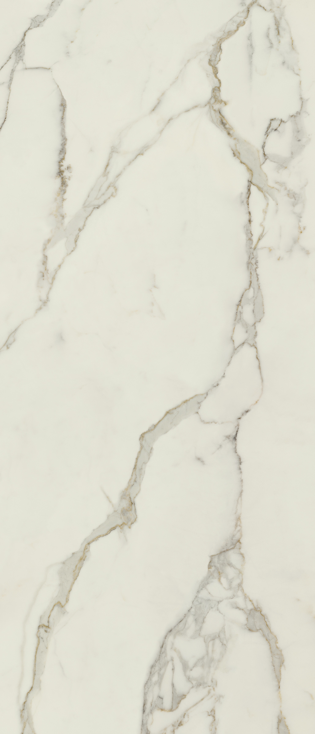 Wandfliese La Fabbrica CALACATTA ORO 120x280