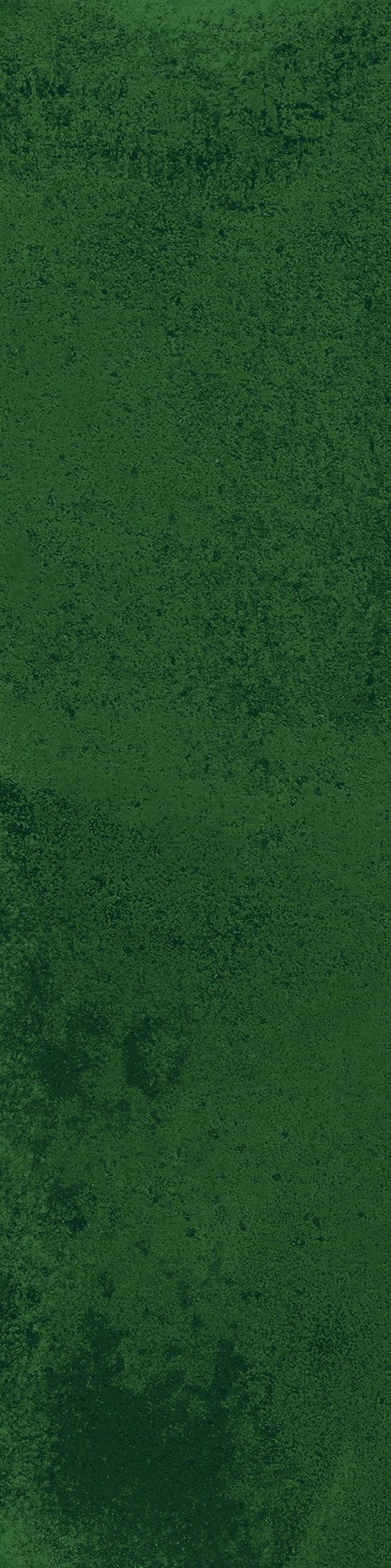 Wandfliese BellaVita JORD Smeraldo 7 x 28