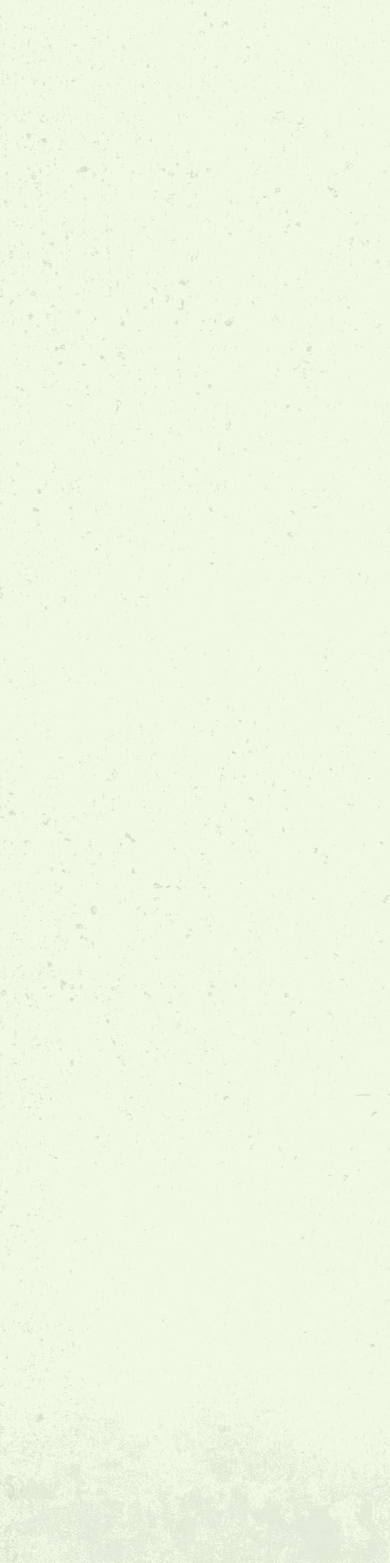 Wandfliese BellaVita JORD Puro 7 x 28