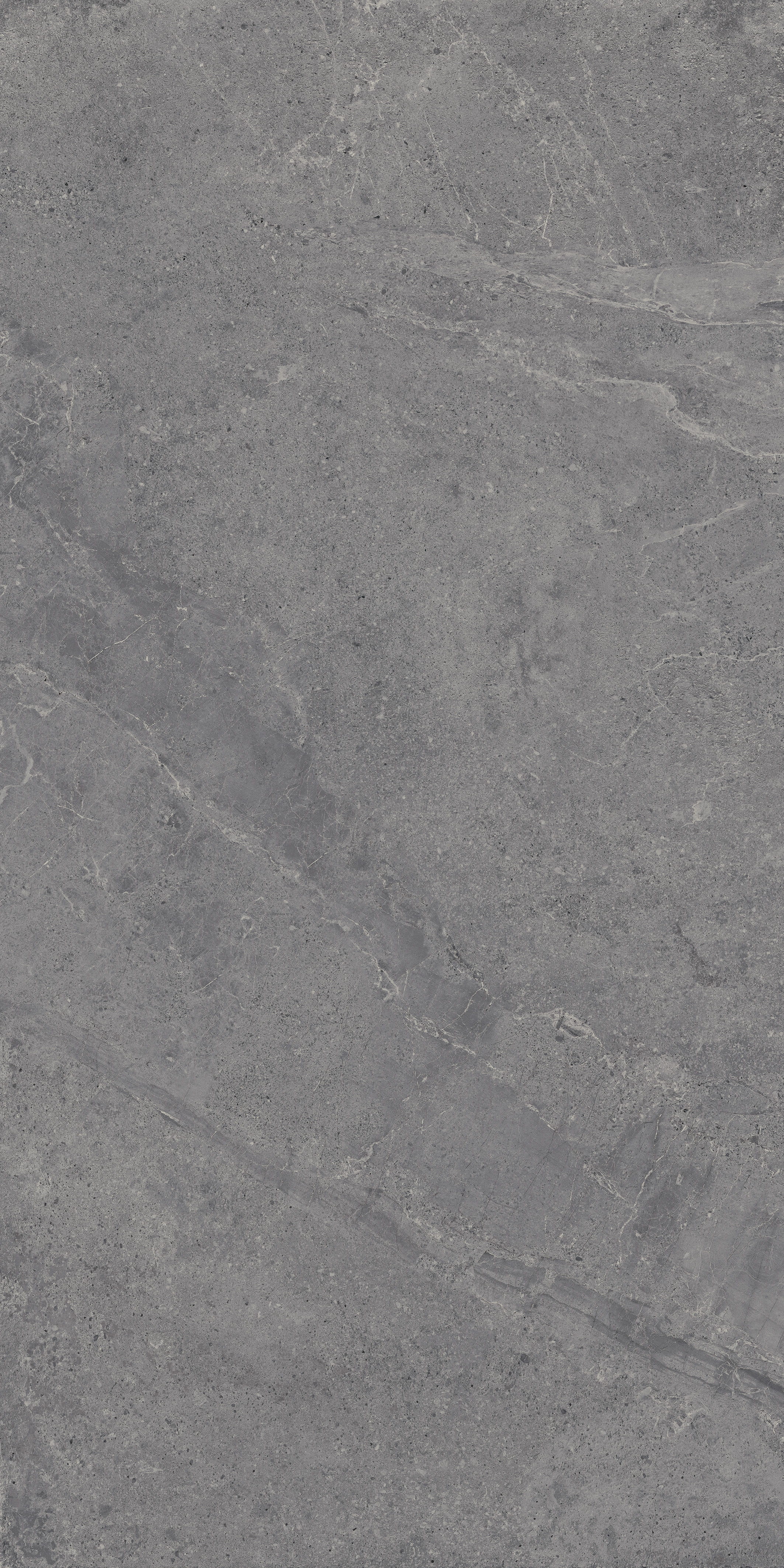 Bodenfliese Castelvetro EVOLUTION titanium 60x120