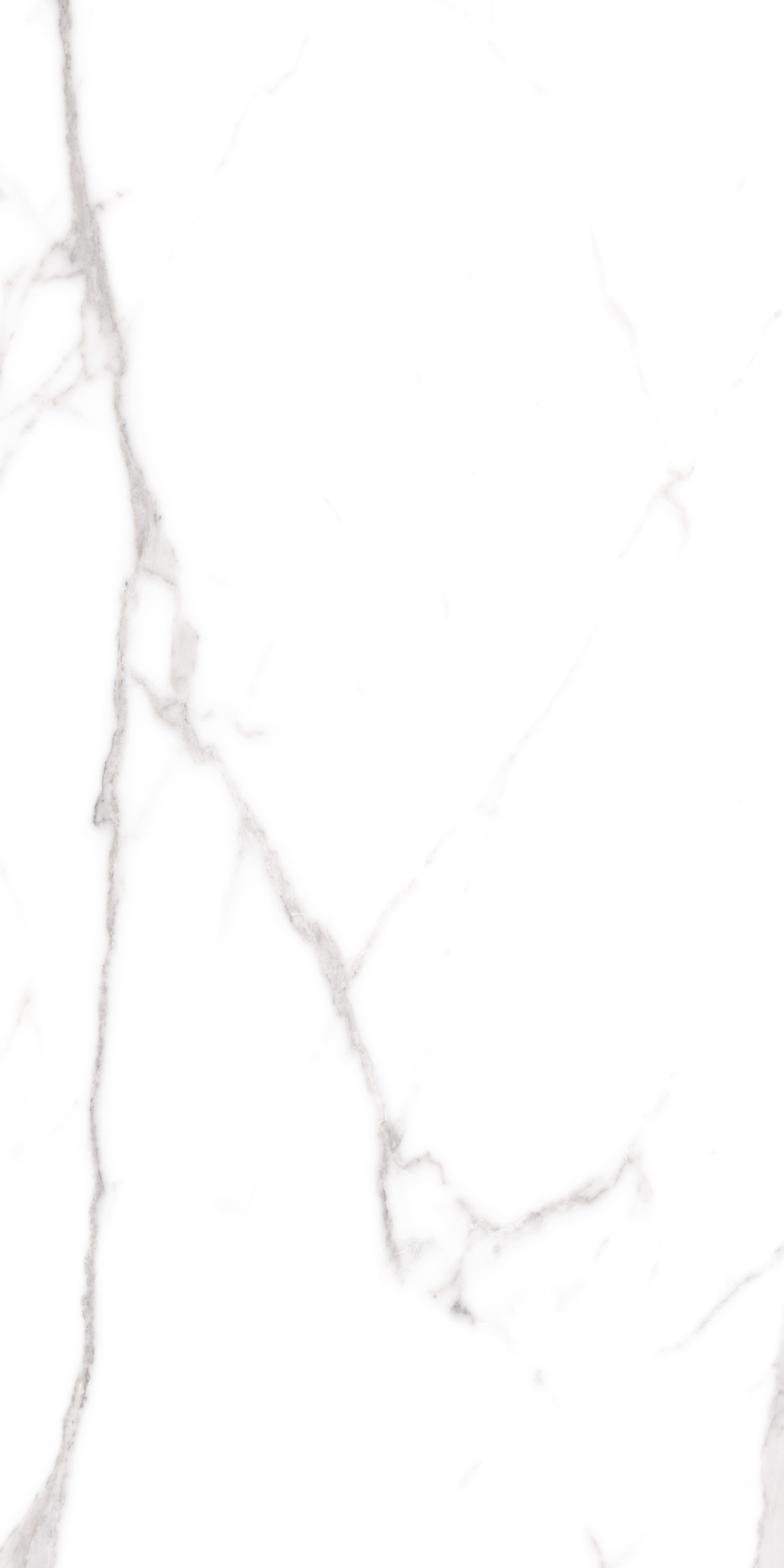 Bodenfliese Cerdomus OMNIA statuario 60x120