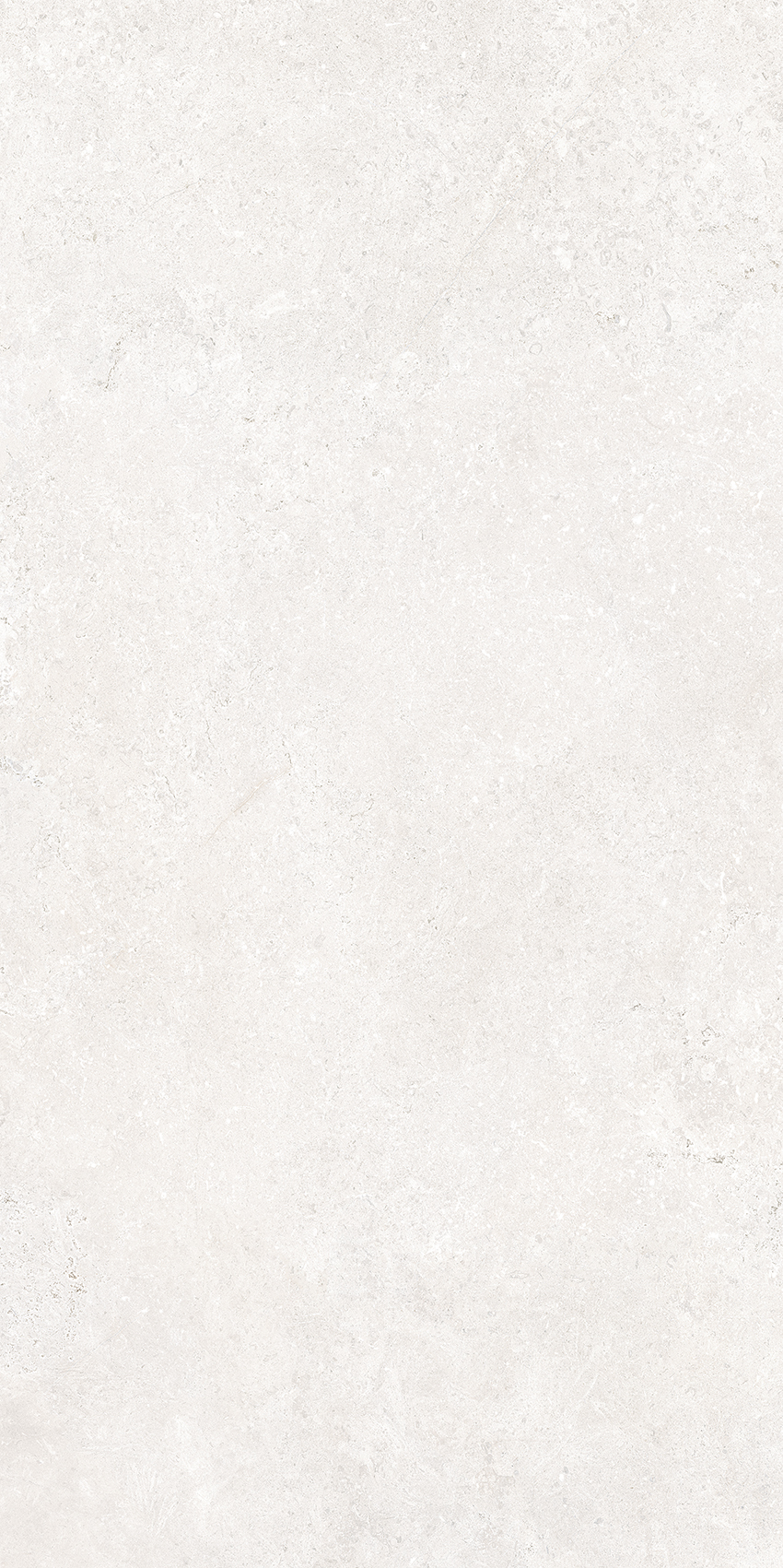 Bodenfliese Cerdomus CROATIA avorio 60x120